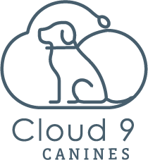 Cloud9 Canines